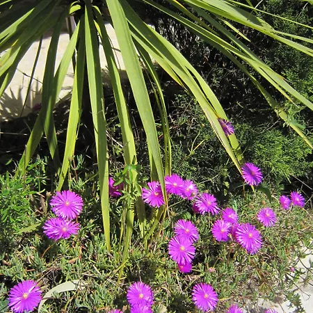 La Les Hesperides بيت للعطل *