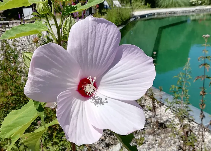 La Les Hesperides * 그리모