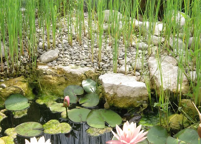 La Les Hesperides 펜션 *