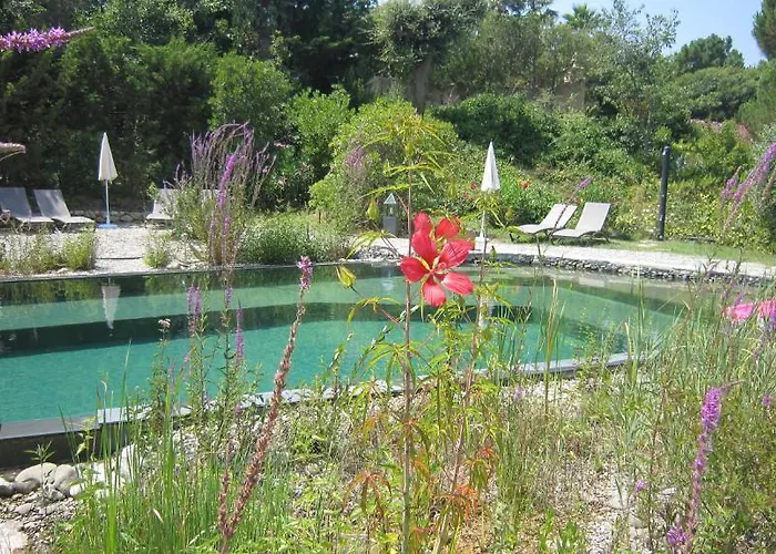 La Les Hesperides Grimaud